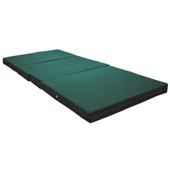 CAMA HOSPITALARIA ELECTRICA