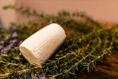 Ricotta Salata