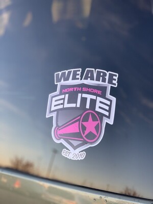 ON SALE!!!  NSE Cheer “WE ARE” Window Decal