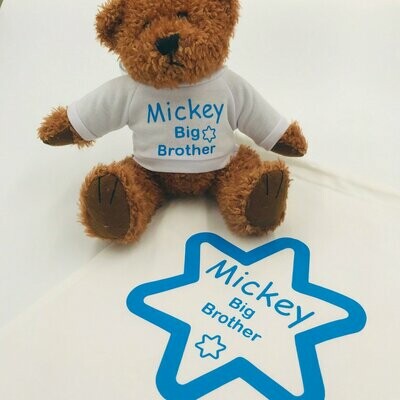 big brother soft toy