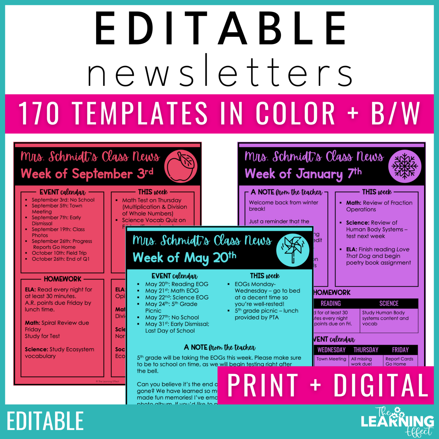 What are Editable Newsletter Templates & Where to Find Them?