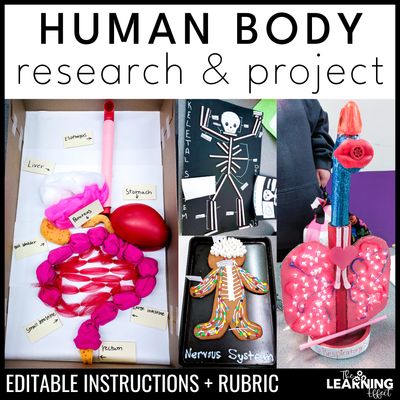 Human body systems research and model project | science anatomy activity