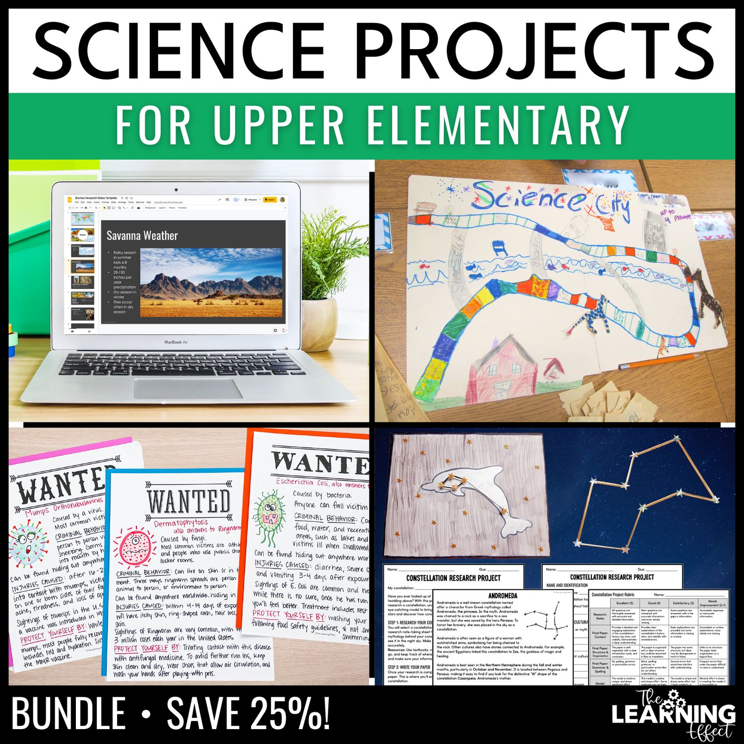 Science projects for upper elementary | research activities for 4th 5th 6th