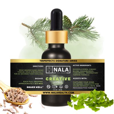 Creativity TerpEffect