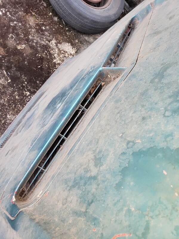 1971 Torino GT hood