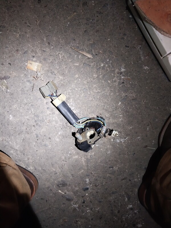 Steering wheel wiring harness / assembly