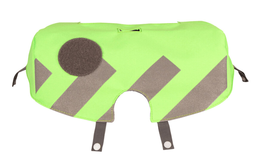 School Mood, NeonCap grün