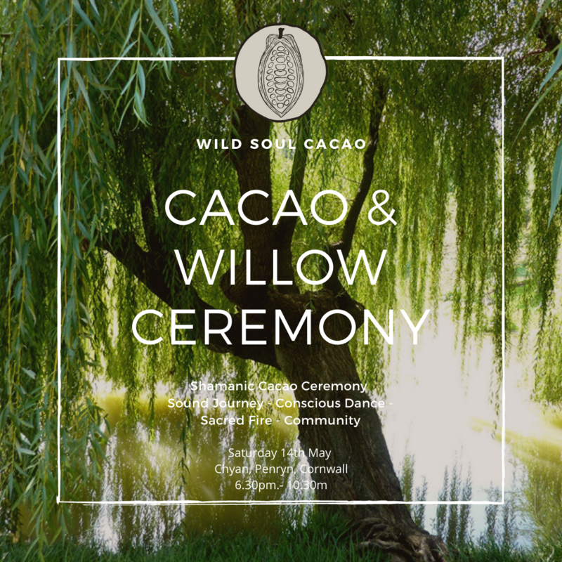 Cacao & Willow Shamanic Ceremony & Dance