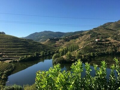 Régua / Pinhão ↔ Porto