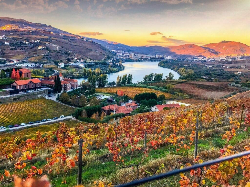 Vale do Douro / Douro Valley Tour