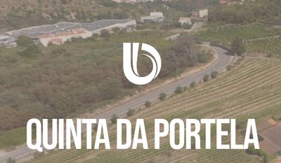 Quinta da Portela ↔ Porto / Airport Transfer