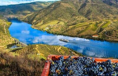 Private Tours in Portugal & Galicia