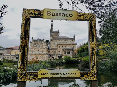 Buçaco ↔ Porto Airport Private Transfer