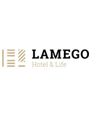 Lamego Hotel & Life ↔ Porto Airport Private Transfer