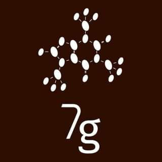 7g Roaster ↔ Porto Airport Private Transfer