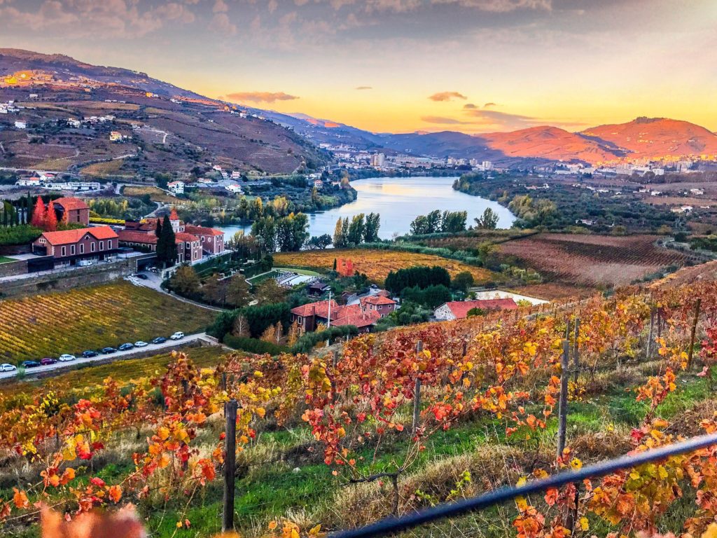 Douro Valley Private Full-Day Tour from Porto