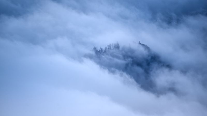 40 x 60 Wildlife Fine Art Print | Mountains in the Clouds |