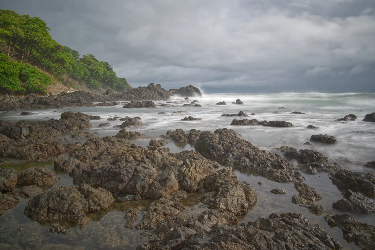 40 x 60 Wildlife Fine Art Print | Stormy Paradise|
