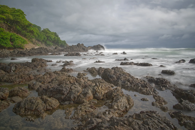 40 x 60 Wildlife Fine Art Print | Stormy Paradise|