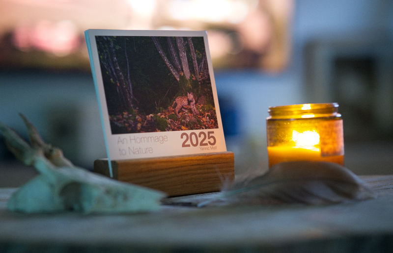 Handmade Table Calendar 2025 - Hommage to Nature