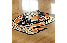 FLOOR GRAPHIS