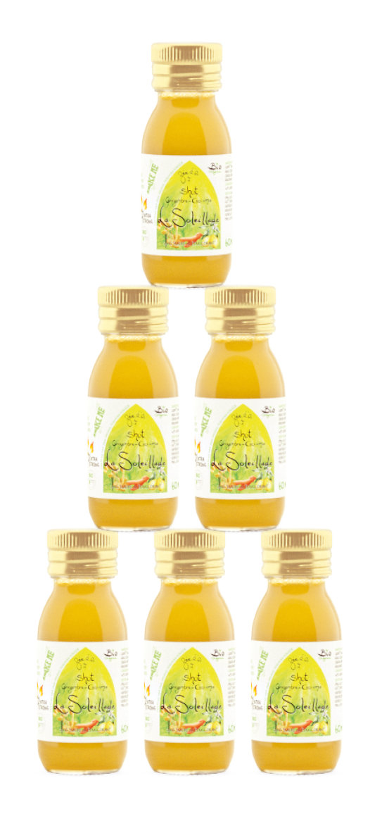 36 Shots de Soleillade 60 ml