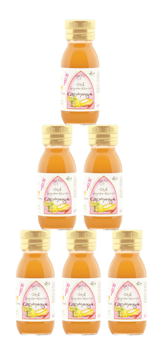 36 Shots de Curcumangue 60 ml
