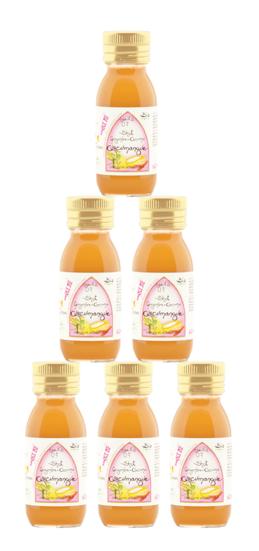 36 Shots de Curcumangue 60 ml 36 Shots de Curcumangue 60 ml