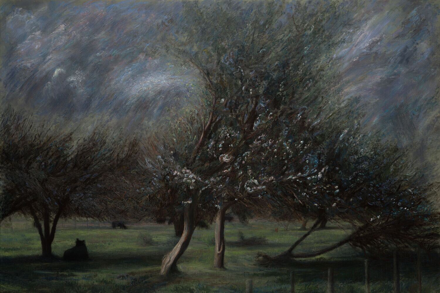 Dark Silhouettes in An Orchard Grove