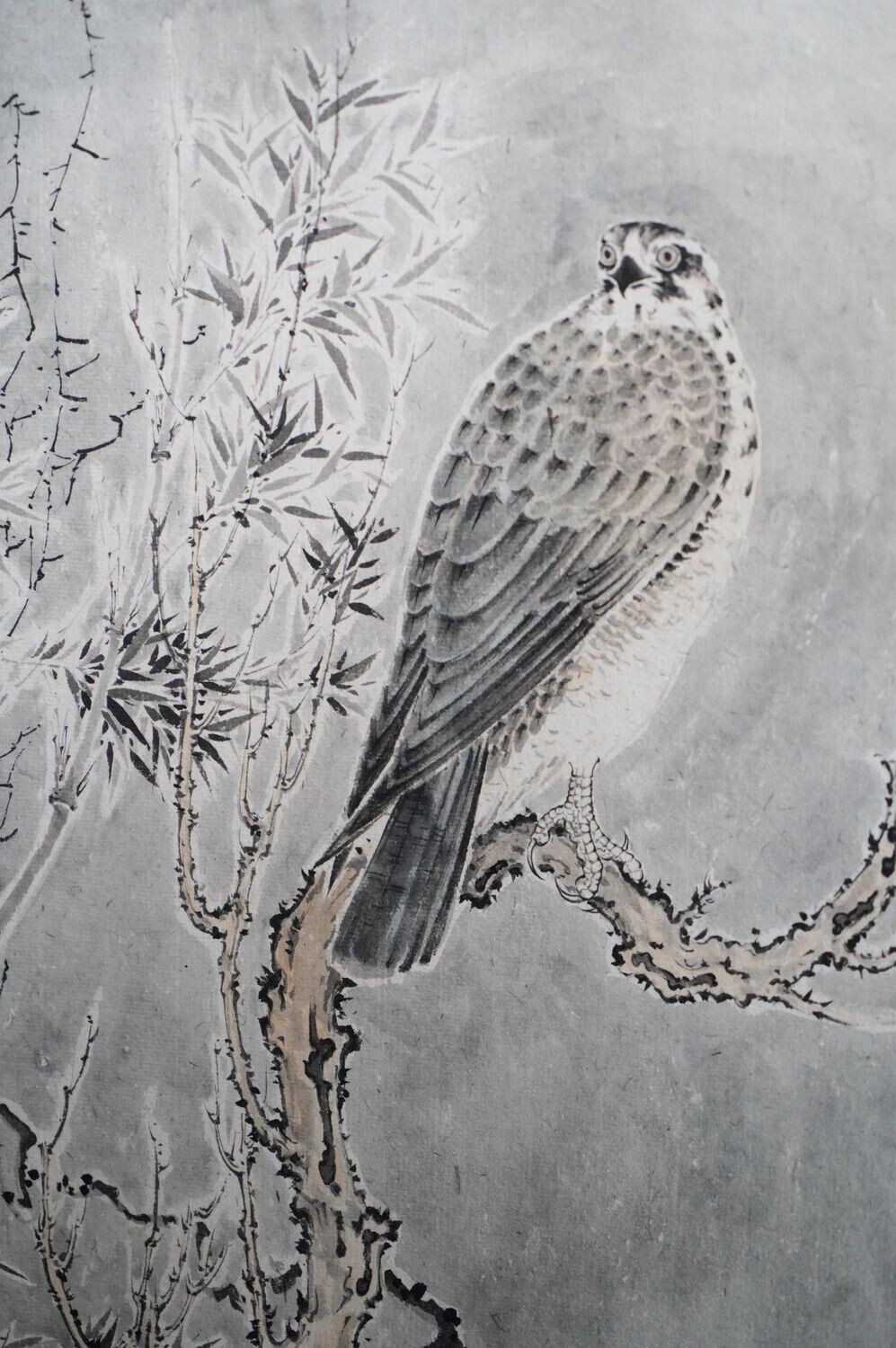 Eagle in The Snow (雪爪星眸)