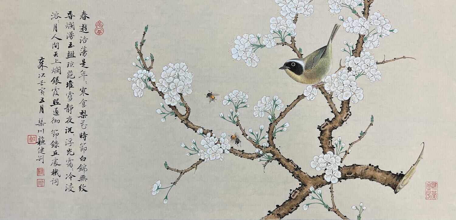 Magnolia Explores Spring (白玉探春)