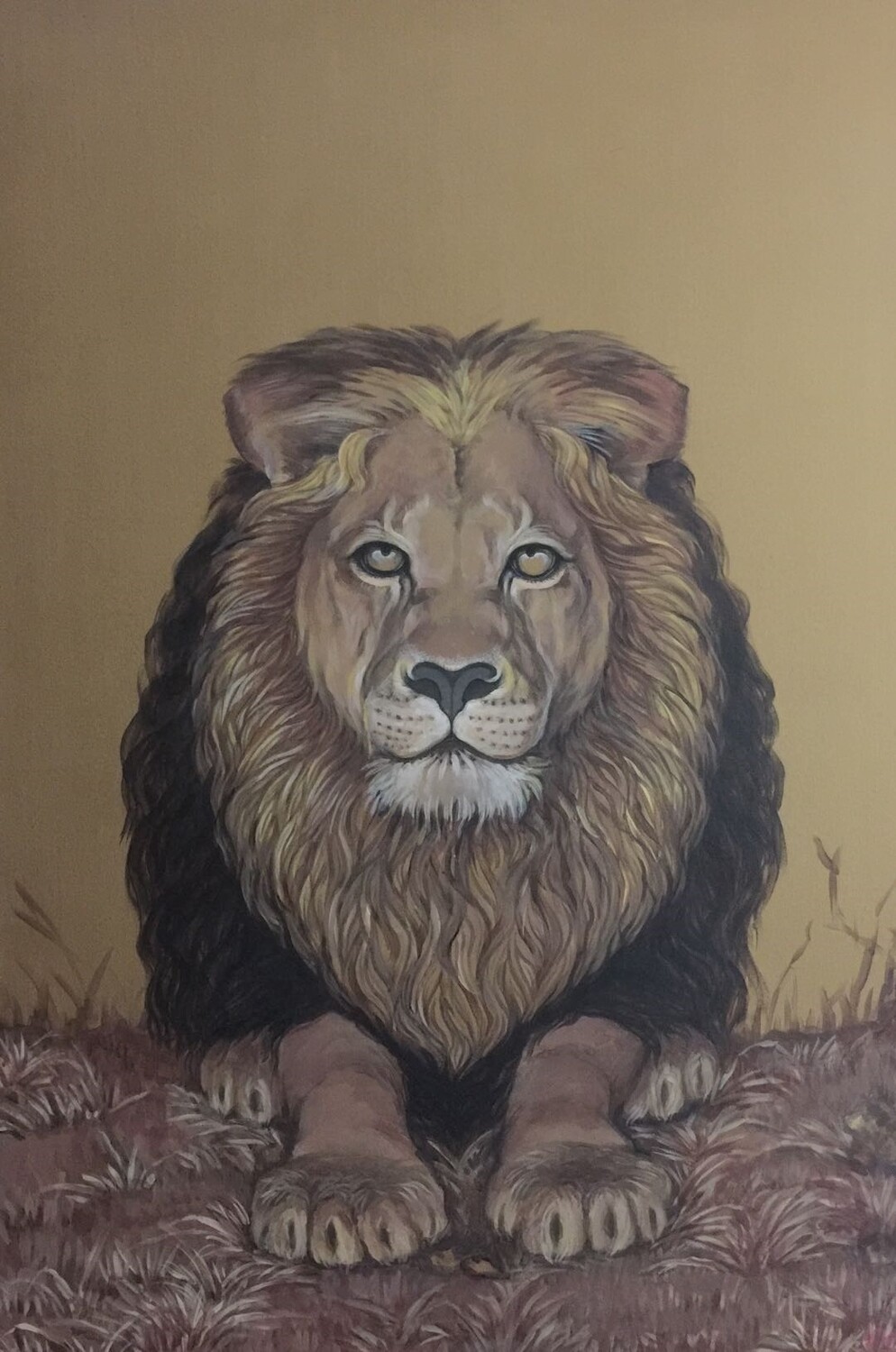 Lion 雄狮
