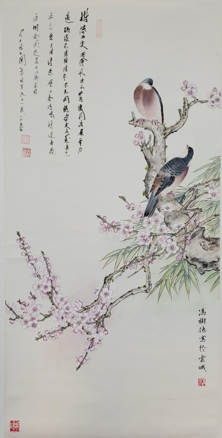 Turtledove and Prunus 斑鸠杏花