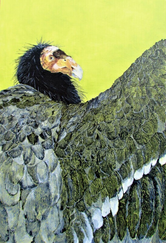Avian Fables: Condor Rising