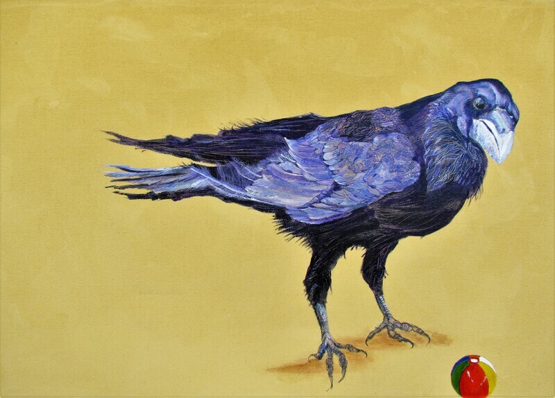 Avian Fables: Raven and Beach Ball 1