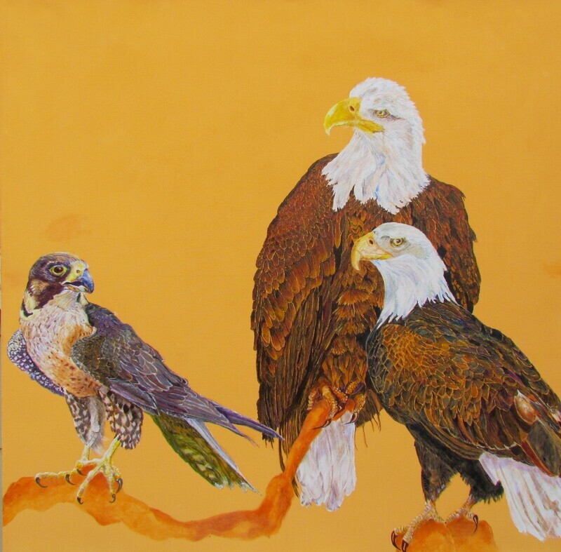 Avian Fables: Eagles and Perigrin Falcon