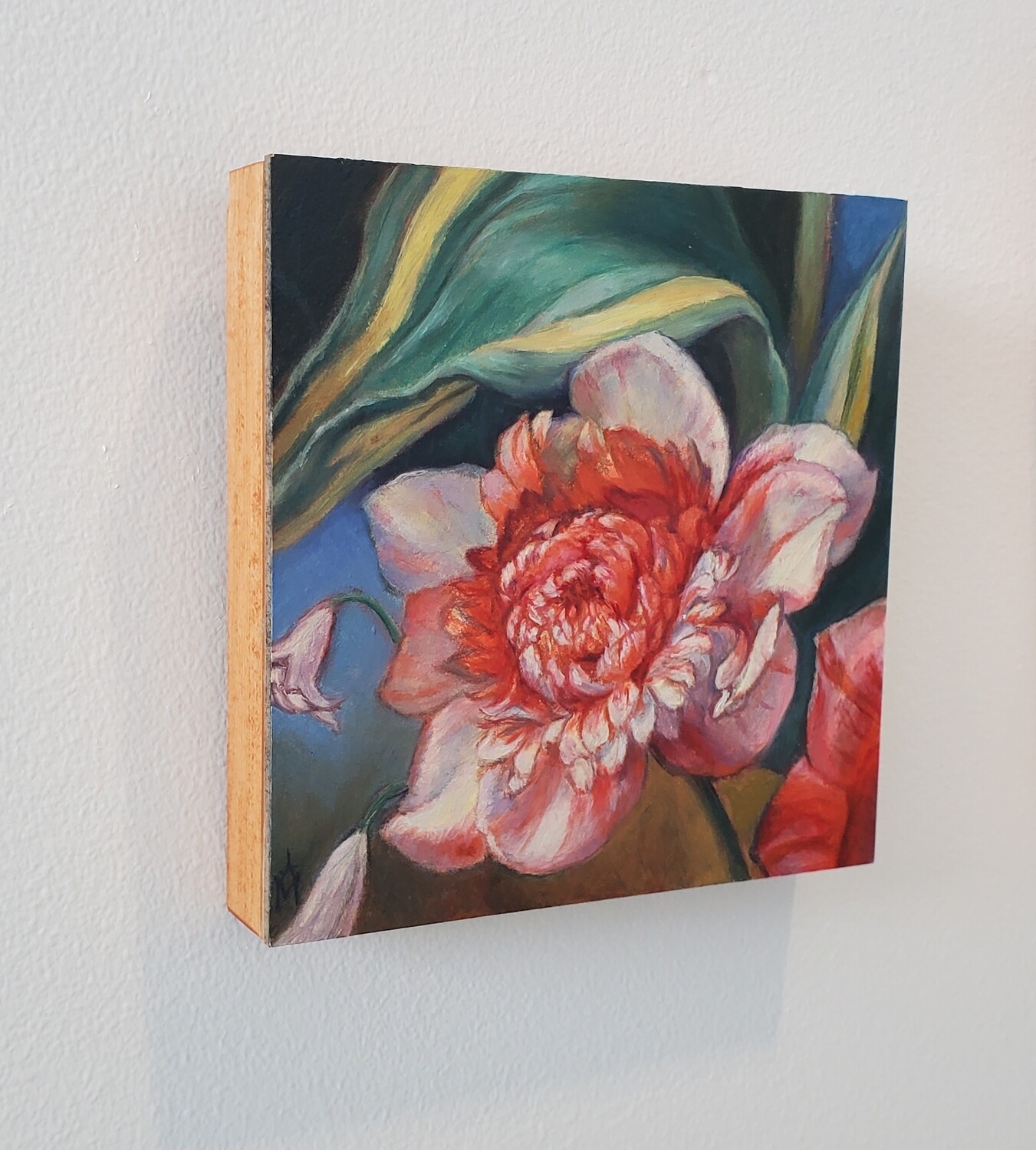 Baroque Inspired Variegated Peony - oil on panel