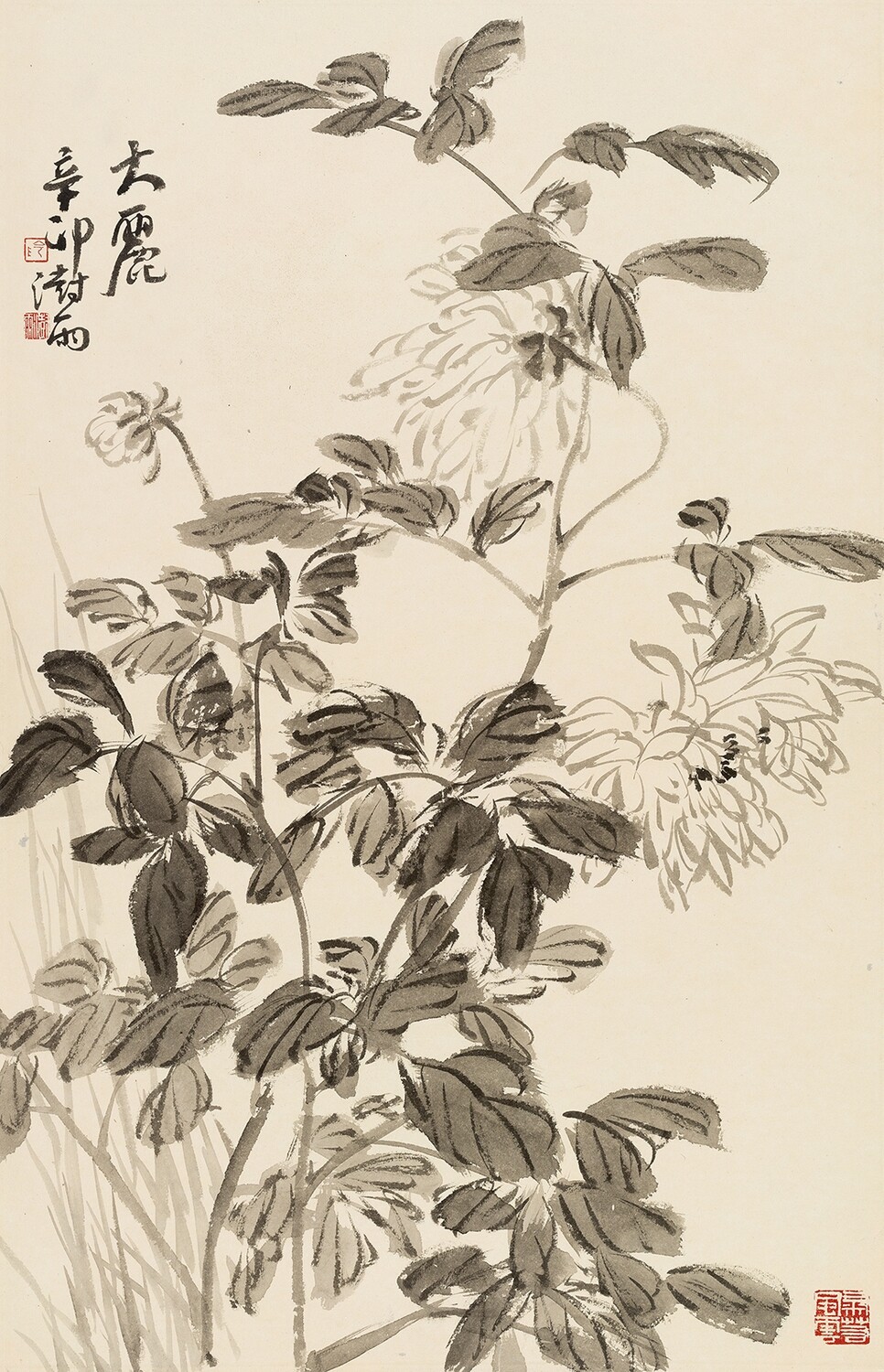 The Beauty (大麗) limited edition print