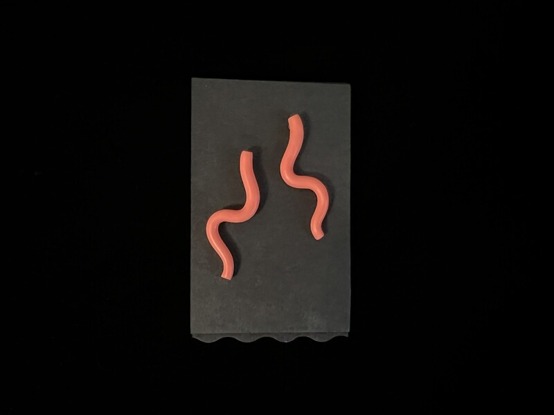 “Squiggly life” earrings
