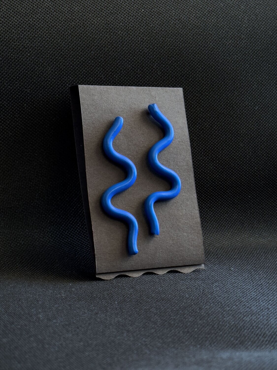 “Squiggly life” earrings