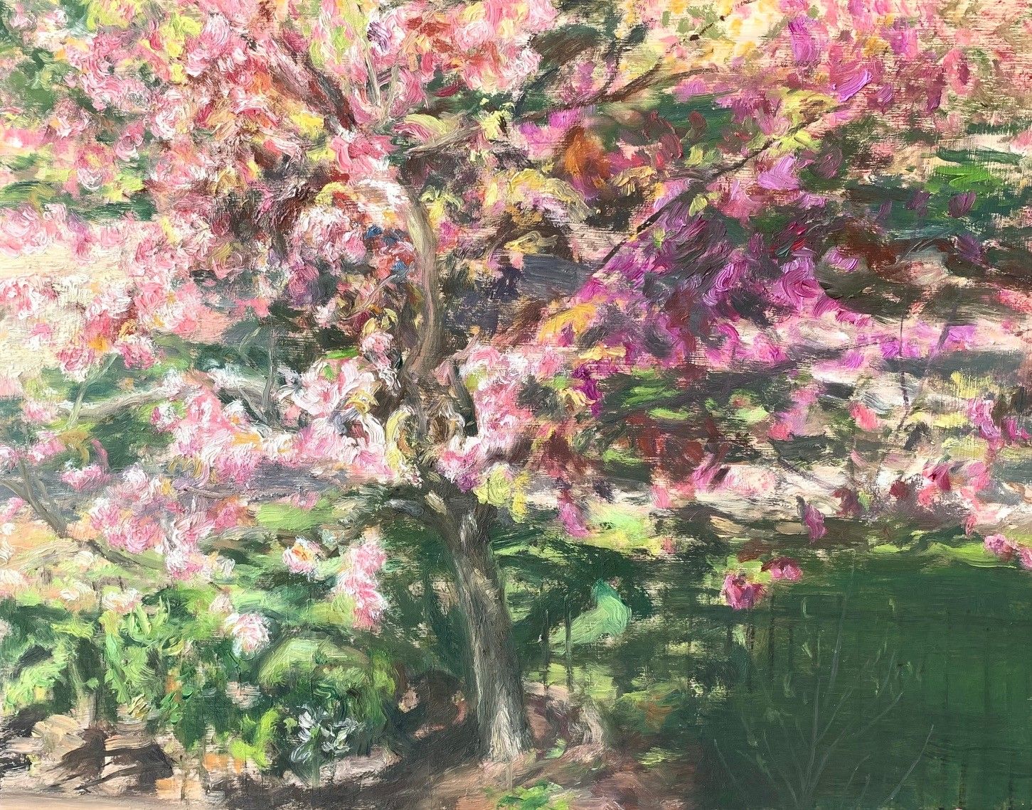 Spring 春天