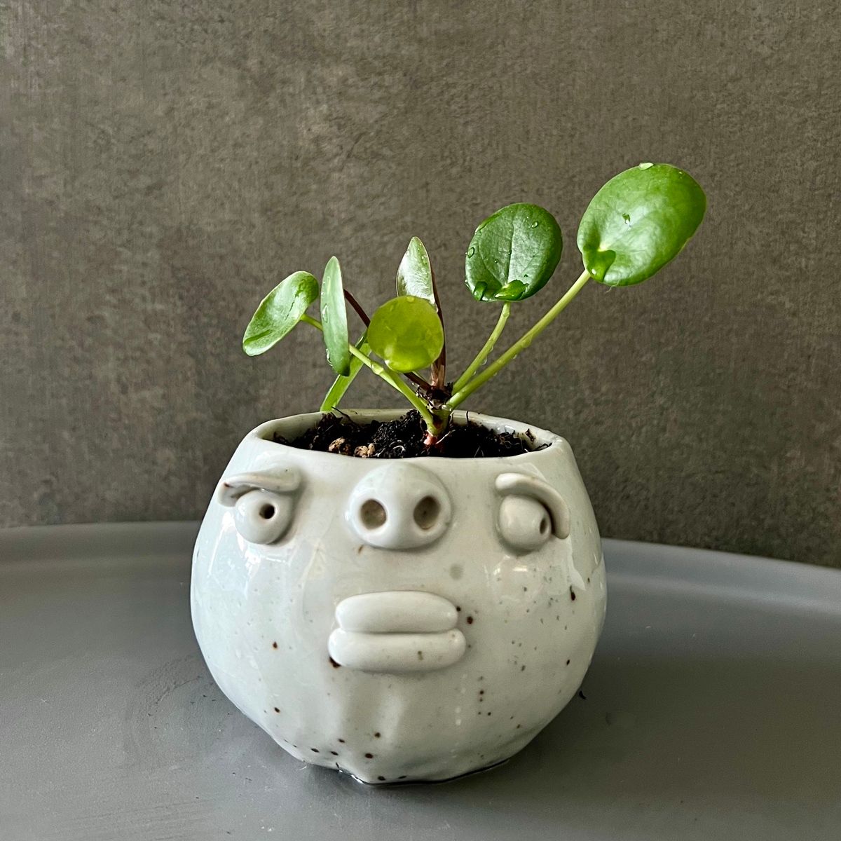 Poker Face 放空/憨憨