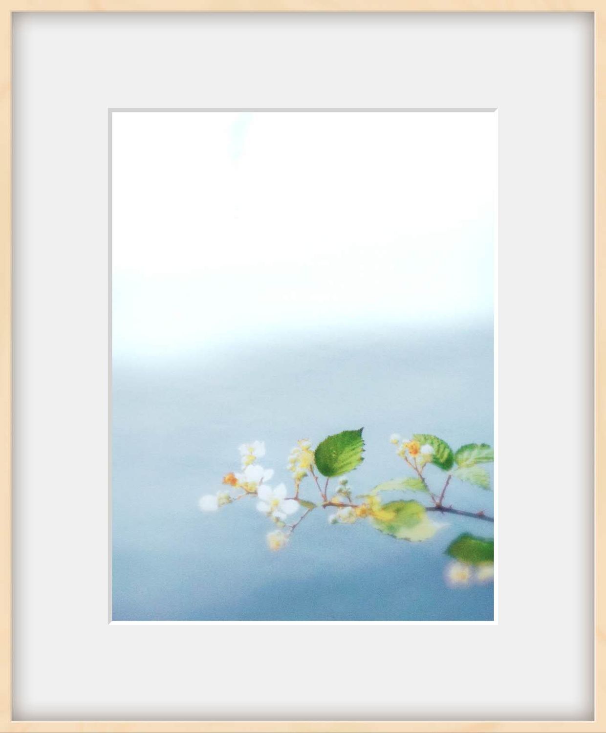 Early Summer