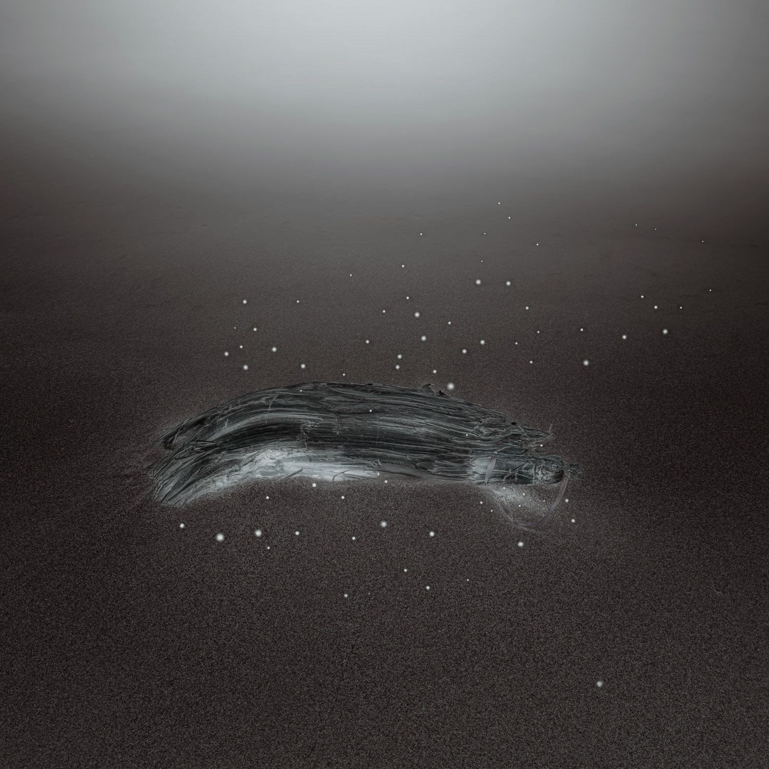 CHAOTIC VOID #01