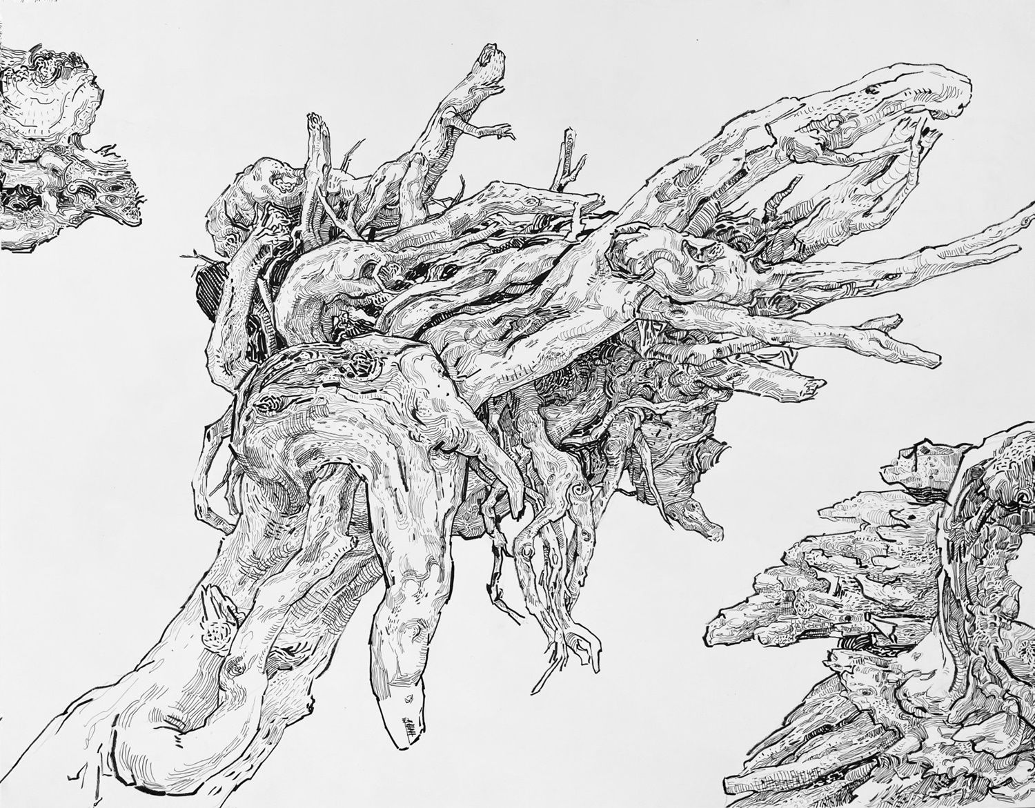 Tree Root #04