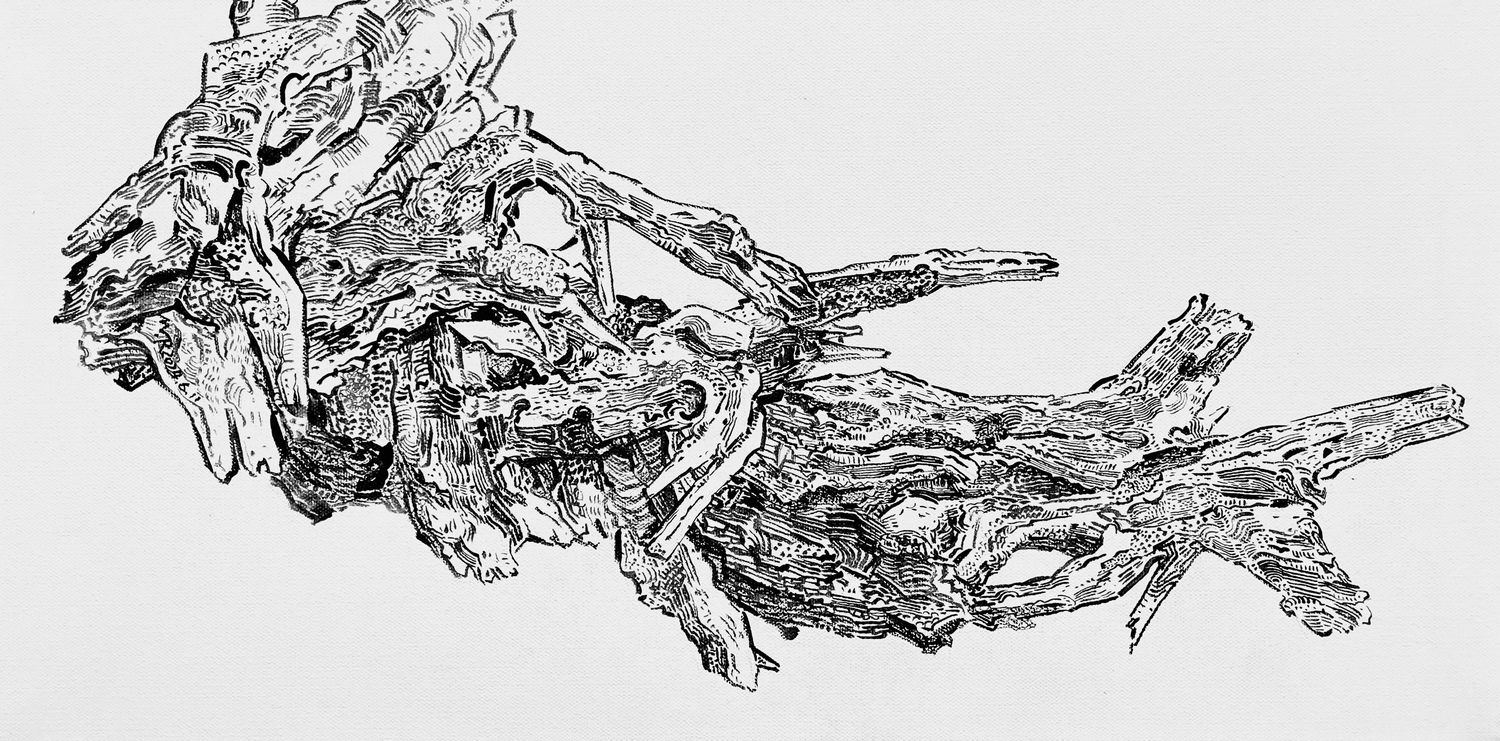 Tree Root #08