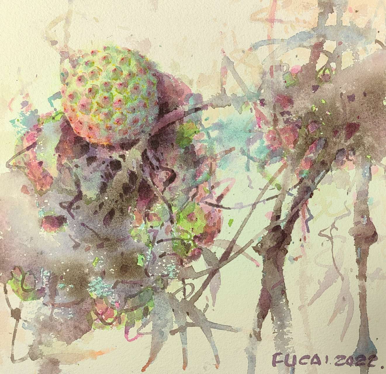 Lychee No.2 青色荔枝