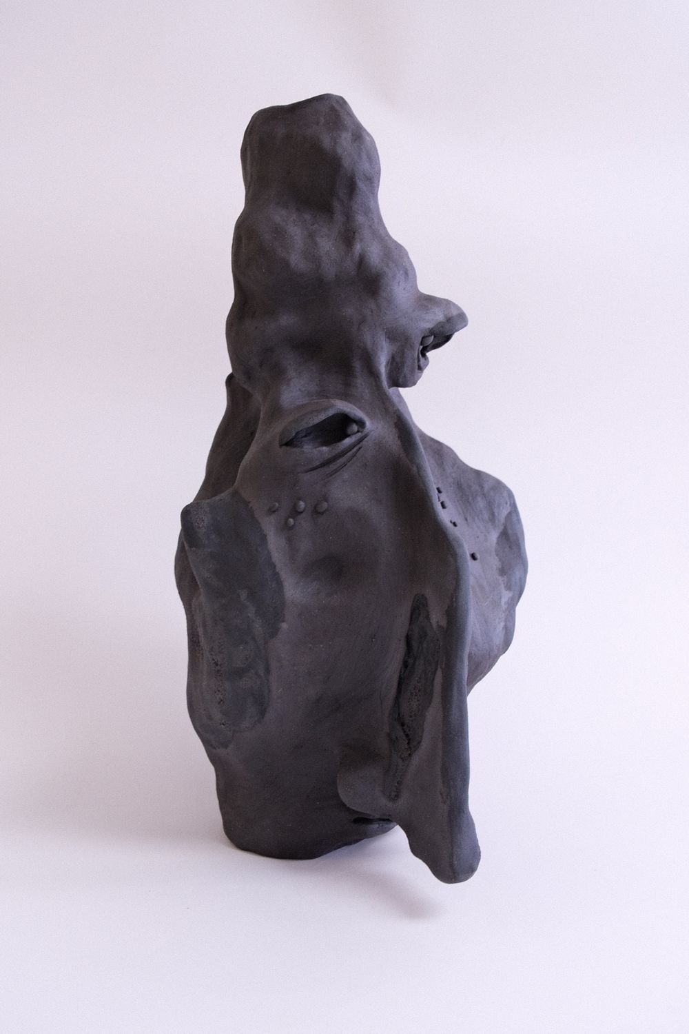 Universe 25 / No. 1