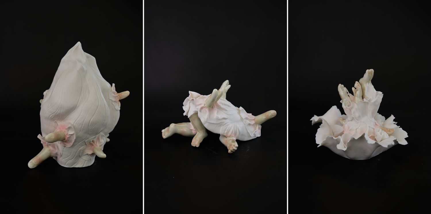 Metamorphosis Metamorphosis