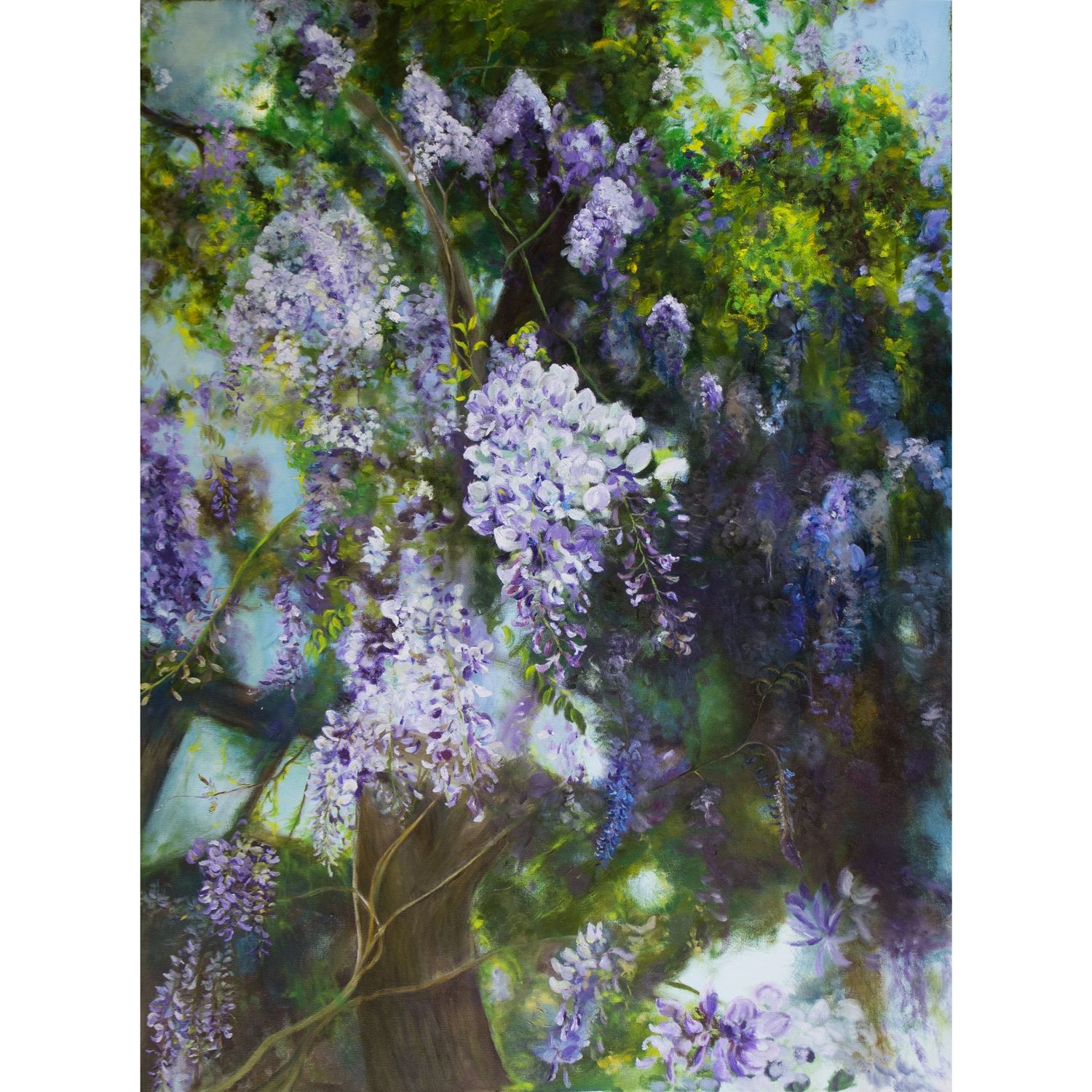 Whispering Wisteria 低语的紫藤